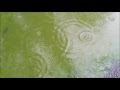 Sybaris