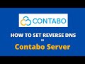 How To Set Reverse DNS RDNS PTR Record In Contabo Server