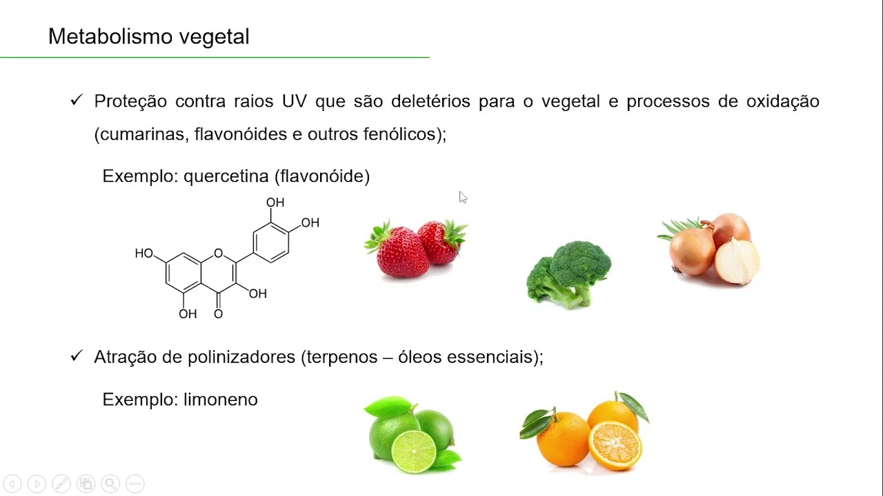Aula de Metabolismo vegetal Farmacognosia Parte I
