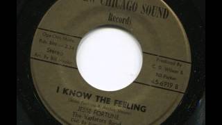 JESSE FORTUNE - I know the feeling - NEW CHICAGO SOUND