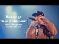 Bearings Blue In The Dark Velvet Underground Toronto Ontario