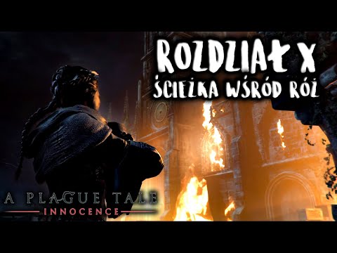 #10 Zagrajmy w A Plague Tale: Innocence | Rozdział X Ścieżka wśród róż | Gameplay PL