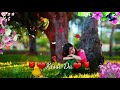 Duniya Vichre Nahi Parwah Dil Daar Na Vichre WhatsApp Status 30Sec Video For Hindi