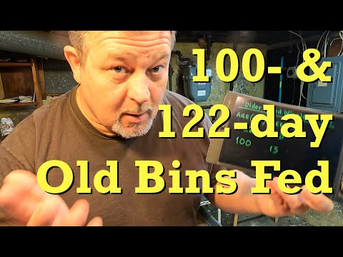 122- & 100-day red wigglers systems fed & examined - worm farm vermicomposting