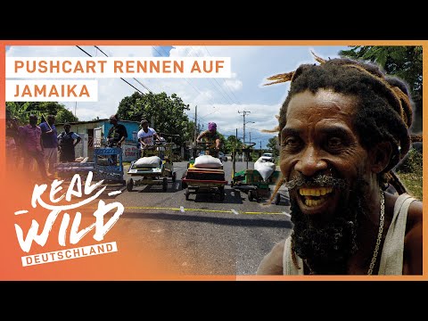 Illegale Straßenrennen auf Jamaika!? | Pushcarts Doku