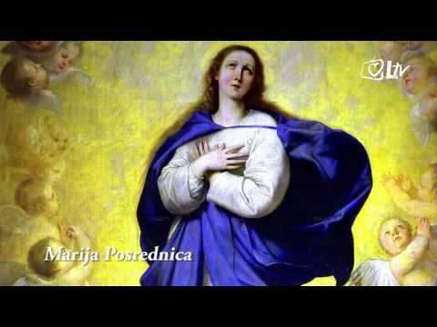 Katolički kalendar 8.5.2016. - Marija Posrednica