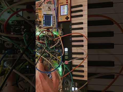 Meester Magpie's Modular Polyphonic ModPod 12.29.2025