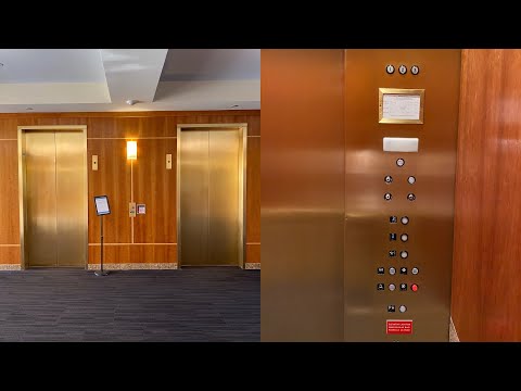 Weird Unknown Hydraulic elevators @ 2998 Douglas Blvd - Roseville, CA.