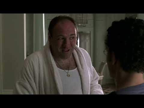 Sopranos Quote, Tony: You're a Ditsoon, Charcoal Briquette, a Mulignan