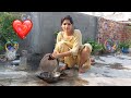 Indian Girl S Village Life In India My First Vlog On Youtube Youtube