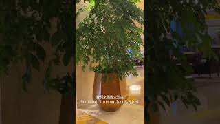 寶利來國際大酒店 Baolilai International Hotel