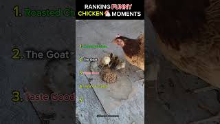 RANKING BEST FUNNY CHICKEN MOMENTS!🤣🐔 #funny #animals #chicken #pets