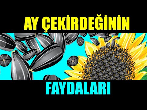 , title : 'AY ÇEKİRDEĞİNİN FAYDALARI'