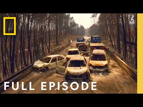 ポルトガル壊滅的森林火災の分析（フルエピソード） | Witness to Disaster | ナショナルジオグラフィック (Analyzing Portugal's Devastating Wildfire (Full Episode) | Witness to Disaster | National Geographic)