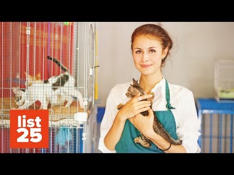 25 INSANE Facts About Animal Shelters