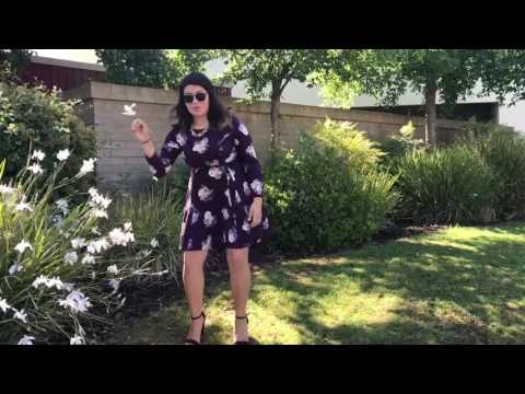 AP Gov Music Video: The President 2017