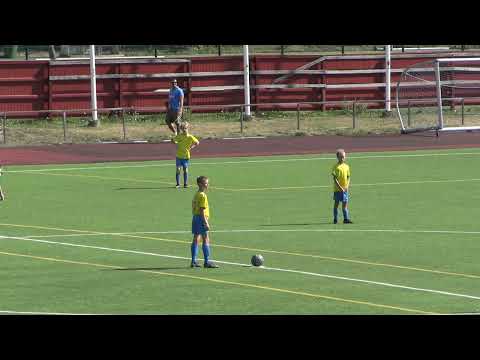 Gnistan P09/Keltainen 2 - Ilves