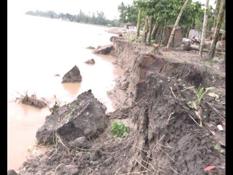 কুড়িগ্রামে কমছে তিস্তার পানি, বাড়ছে ভাঙন