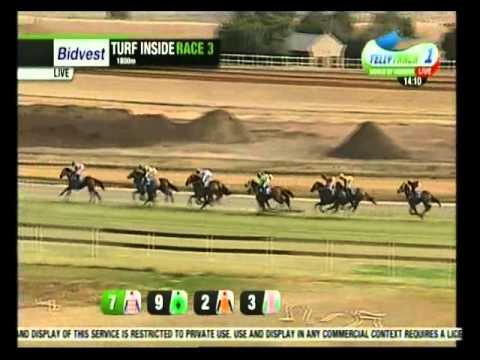 Top Shot (Andrew Fortune) vs Dublin Rebel (Piere Strydom)