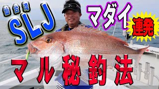 【真鯛 ジギング】マダイ連発！ここが違う！仙台湾のＳＬＪのマル秘釣法/クレイジーオーシャンチャンネル