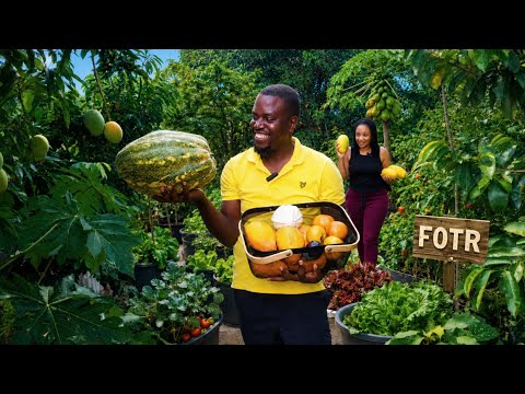 It's Priceless Eating What You Grow.  We Grow Food In Containers On The Rocks All Year Round