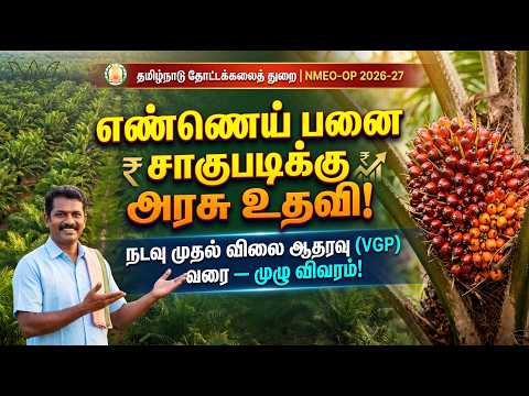  எண்ணெய் பனை சாகுபடிக்கு அரசு ஆதரவு! 🌴 NMEO-OP 2026-27 | VGP & மானிய விவரங்கள்