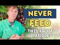 5 Fruits And Vegetables Your Dog Should NEVER Eat