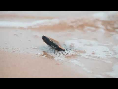 Rugged Phone, DOOGEE S40 Pro Rugged Smartphone Waterproof Mobile Phone, Android 10, 4G Dual SIM.