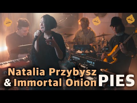 Immortal Onion x Natalia Przybysz - PIES // Live Session