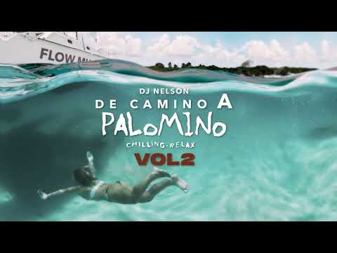 DJ Nelson x Nopy x Alejandro Armes - Hit Me Up [Official Audio]