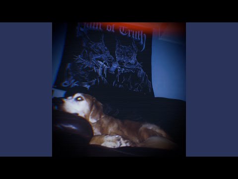 Video thumbnail for Chill Wit My Dog