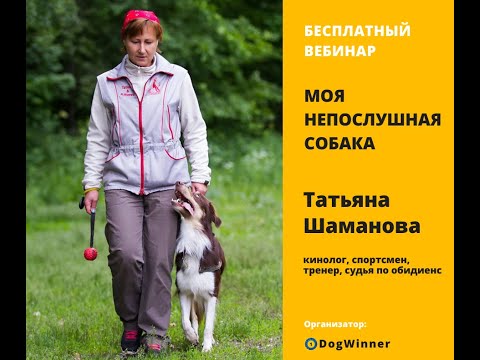 Вебинар 'Моя непослушная собака' с Татьяной Шамановой