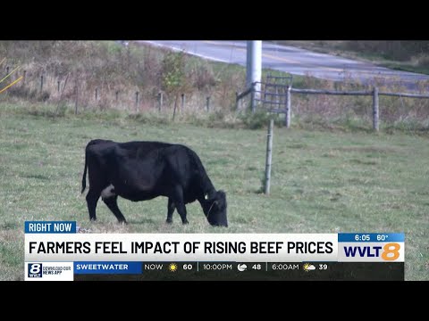 East Tennessee farmers feeling impact of rising beef prices