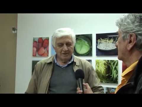 MOJE SELO: „LK“ hibridi kukuruza lepih imena i velike rodnosti