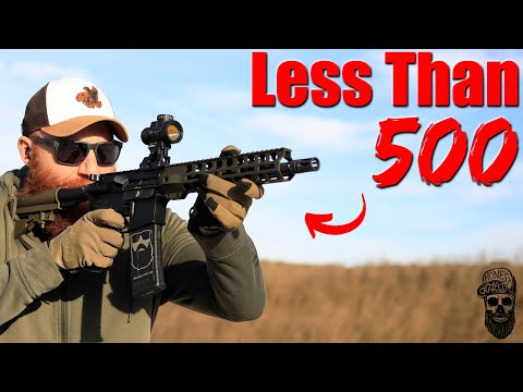 Probably The Best Budget AR-15