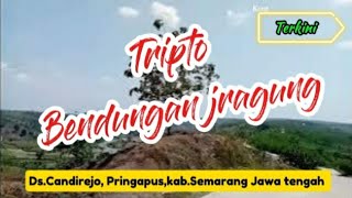 Download lagu Menuju bendungan jragung, bendungan jragung, bendungan jragung pringapus, mp3 Download lagu Menuju bendungan jragung, bendungan jragung, bendungan jragung pringapus, mp3