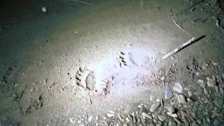 Breakfast Club - Rico Mambo