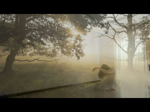 Sounds of Nature II | Contemporary Dance | Luísa Bortoli