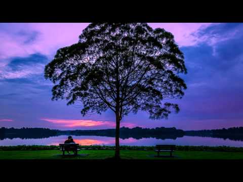 Will Canas - Solo Tu