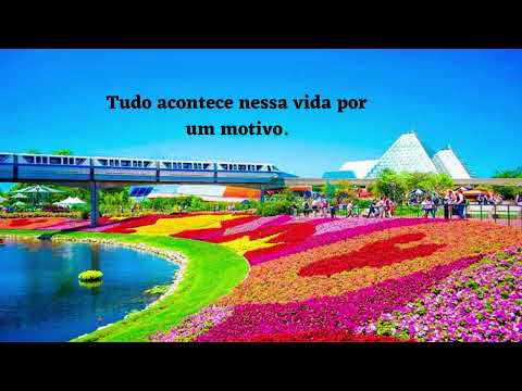 Frases de Superação do Dia a Dia