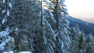 The Lost Woods ~ Mountain Queen