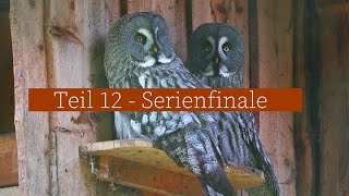 Teil 12 | Das Serienfinale | 8.000km mit DIY Camper | 4 Länder | Falke