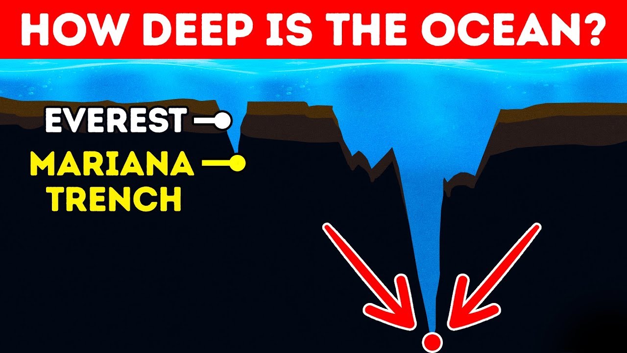 How Deep Is the Ocean In Reality?