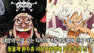 [원피스 분석] 태양의 신을 잇는 티치의 어둠어둠열매 진짜 이름 동물계 환수종 사람사람열매 모델 달의 신