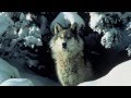 Sanvean (I Am Your Shadow) ~ Lisa Gerrard ...