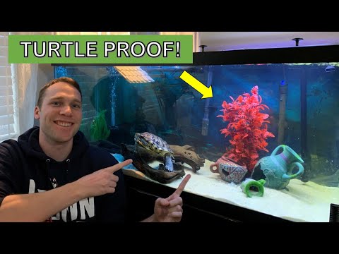 Making a Turtle Proof Tank Decoration  - Turtle Aquarium DIY Short Video