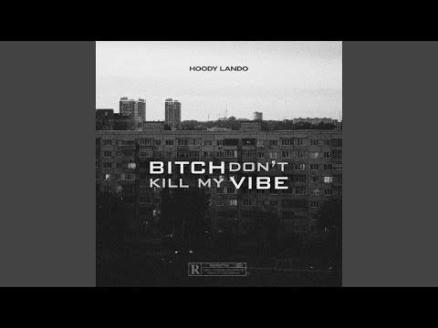 Bitch Don't Kill My Vibe