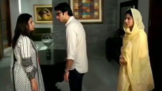 Humsafar best dialogue  best reply by Ashar to his