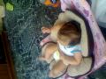 Daijahlee Watching Pinky Dinky Doo