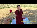 Young Cameraman Proposes To A Homeless Mother And Shocks Her